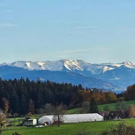 アパート Gaestehaus Cavallo Achberg